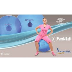 Pendy Ball - záťaž 2kg