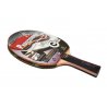 Raketa 6* ITTF Professional Giant Dragon je raketa na stolný tenis vhodná pre začínajúcich hráčov s ofenzívnym štýlom hry, do škôl, pre kluby a na rekreačné účely.