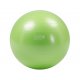 Gymnic Plus 55 BRQ gymball